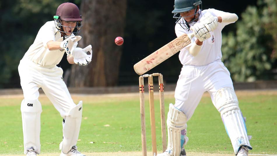 Cricket Match